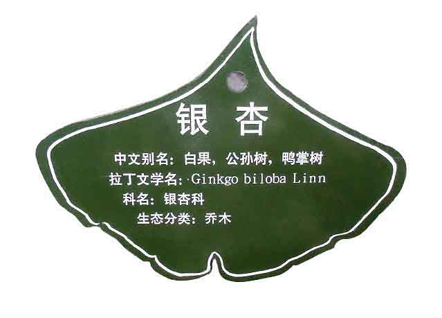 “景區標識系統”的設計方法有哪些呢？
